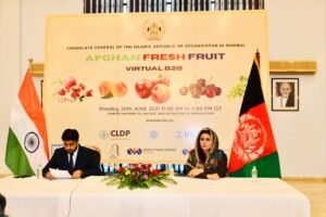Afghan Fruit Virtual Business Matchmaking Event Hosted in India