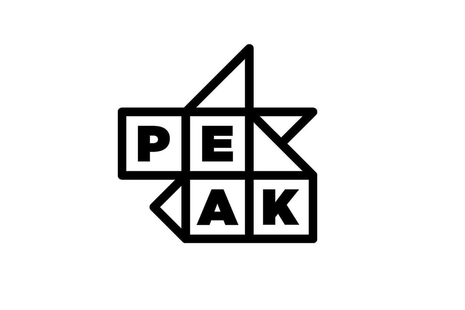 Peak conducts Digital Hiring Day to enroll freshers for Jaipur